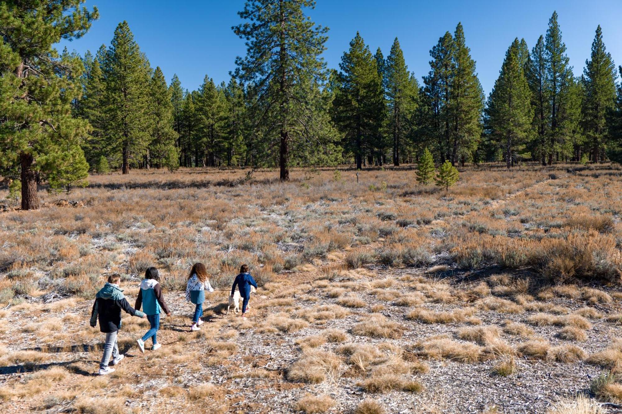 The Cottages - Golf, Pool, Play - 2-Bedroom Truckee Bagian luar foto